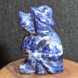 Stone Animal Carving~Sodalite Dog with Hat~CRSACV17