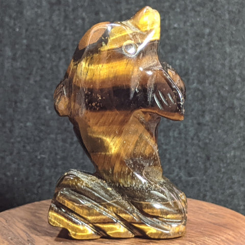 Stone Animal Carving~Tiger Eye Dolphin~CRSACV25