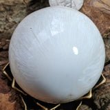 Scolecite Sphere~CRSCSP07