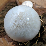 Scolecite Sphere~CRSCSP10