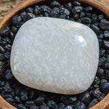 Scolecite Palm Stone~CRSCPS05