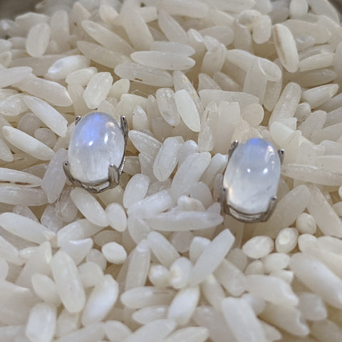 Rainbow Moonstone Post Earrings~JSRMPEAR