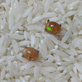 Precious Opal Post Earrings~JSSPOE10