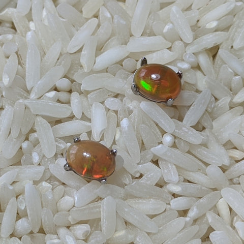 Precious Opal Post Earrings~JSSPOE10