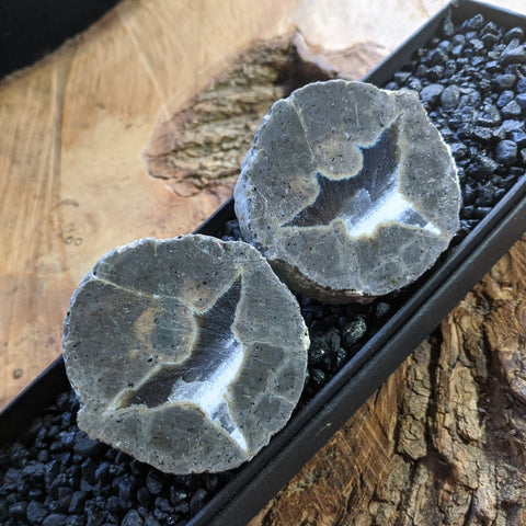 Thunderegg Pair~CRTESP04