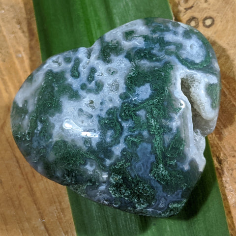 Moss Agate Druzy Heart~CRMADH03