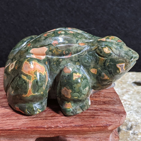 Rainforest Rhyolite Frog~CRRNFST2