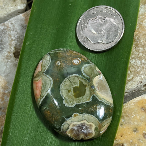 Rainforest Rhyolite Cabochon~JRRJCAB1