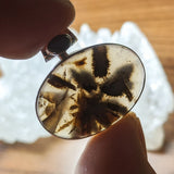 Aragonite in Agate Pendant~JSSARAP1