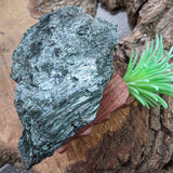 Garnet in Fuschsite~CRGARNF3