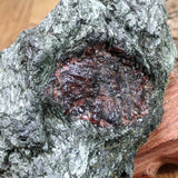 Garnet in Fuschsite~CRGARNF3