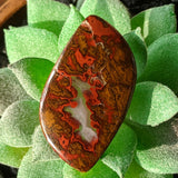 Sagenite Red Plume Agate Cabochon~JSSSRAC1