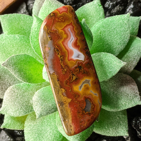 Sagenite Red Plume Agate Cabochon~JSSSRAC4