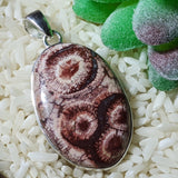 Birds Eye Rhyolite Pendant~JSSBERP1