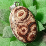 Birds Eye Rhyolite Pendant~JSSBERP1