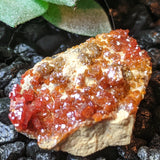 Vanadanite Specimen~CRVANAD2