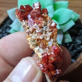 Vanadanite Specimen~CRVANAD4