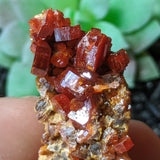 Vanadanite Specimen~CRVANAD4