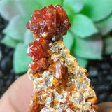 Vanadanite Specimen~CRVANAD4