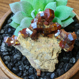 Vanadanite Specimen~CRVANAD7