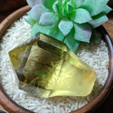 Citrine Scepter Crystal~CRCITS05