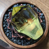 Citrine Scepter Crystal~CRCITS05