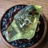 Citrine Scepter Crystal~CRCITS06