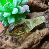 Smoky Citrine Phantom Scepter Crystal~CRCITS07