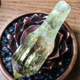 Smoky Citrine Phantom Scepter Crystal~CRCITS07