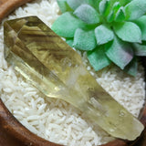 Smoky Citrine Phantom Scepter Crystal~CRCITS07