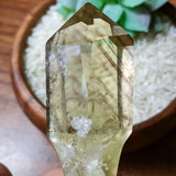 Smoky Citrine Phantom Scepter Crystal~CRCITS07