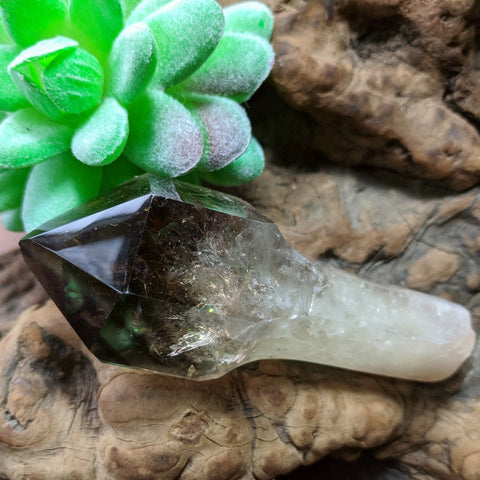 Smoky Quartz Phantom Scepter Crystal~CRCITS10