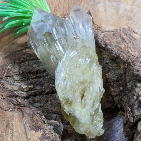 Citrine Phantom Candle Quartz Crystal~CRCPCQZC