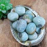 Tumbled Amazonite~TUMAMAZ