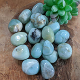 Tumbled Amazonite~TUMAMAZ