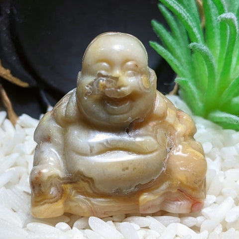 Lace Agate Laughing Buddha~CRMCLABD