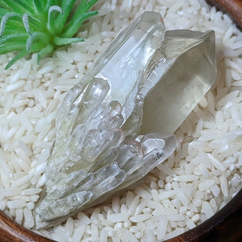 Polished Citrine Candle Quartz Crystal~CRCCQC04