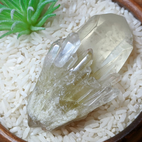 Polished Citrine Candle Quartz Crystal~CRCCQC05