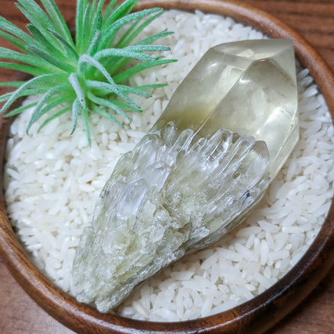 Polished Citrine Candle Quartz Crystal~CRCCQC08