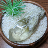 Polished Citrine Candle Quartz Crystal~CRCCQC08