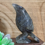 Labradorite Raven~CRLABRAV