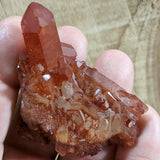 Tangerine Quartz Cluster~CRTQTZ04