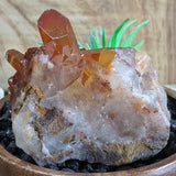 Tangerine Quartz Cluster~CRTQTZ05