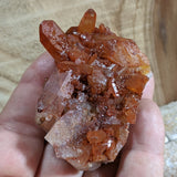 Tangerine Quartz Cluster~CRTQTZ05