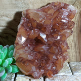 Tangerine Quartz Cluster~CRTQTZ10