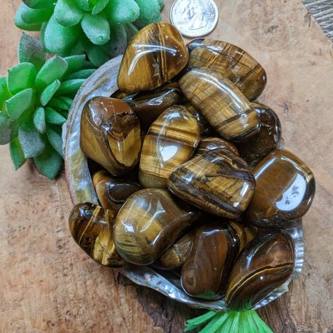 Tumbled Tiger Eye Gold~TUMTEGD