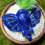 Lapis Lazuli Elephant Carving~ CRLELEP1