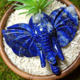 Lapis Lazuli Elephant Carving~ CRLELEP2