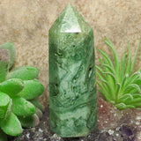 Green Opalized Fluorite~CRGOFL08