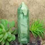 Green Opalized Fluorite~CRGOFL16